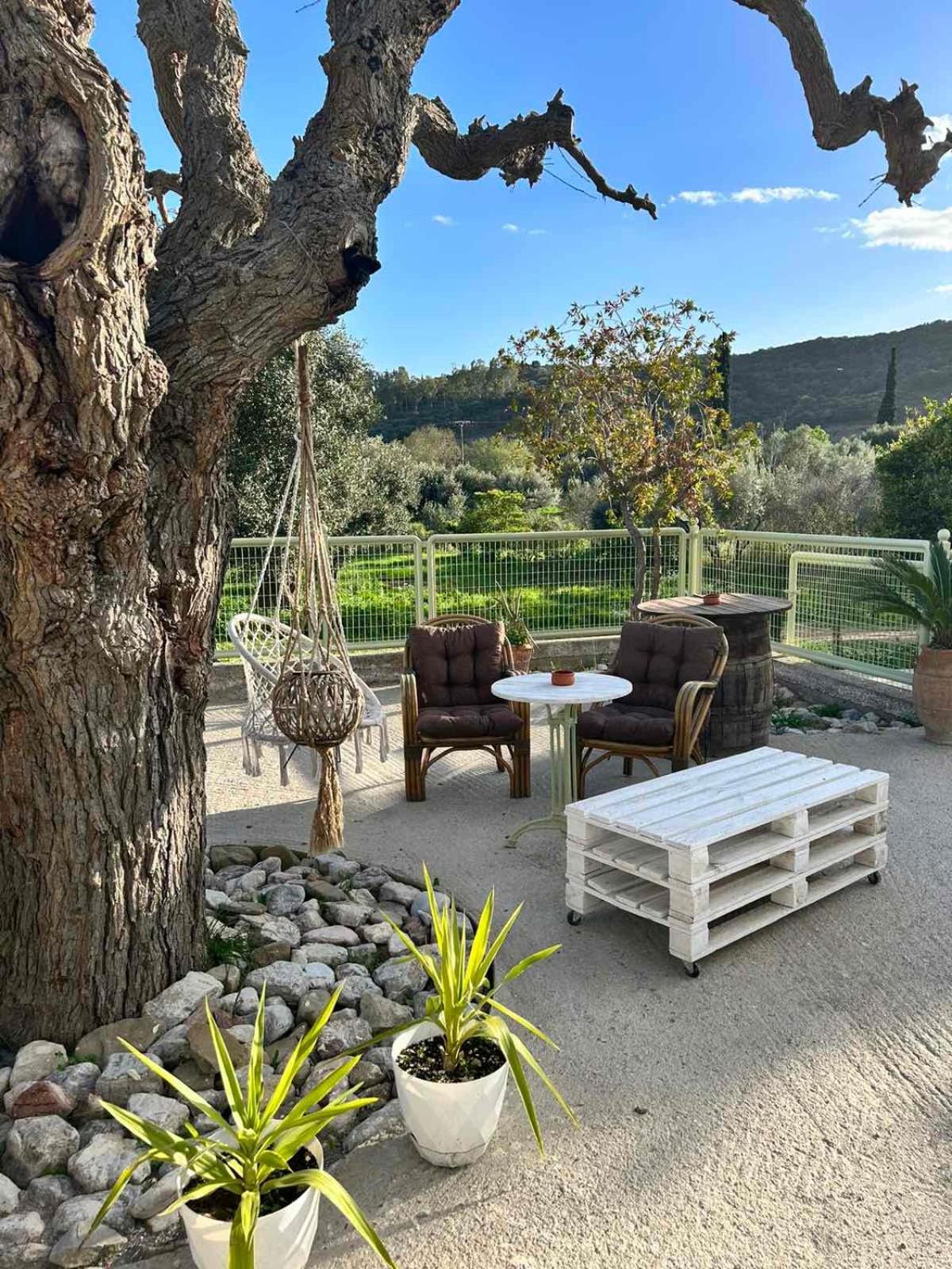 Holiday home Ktimaoliva1 Nafpaktos