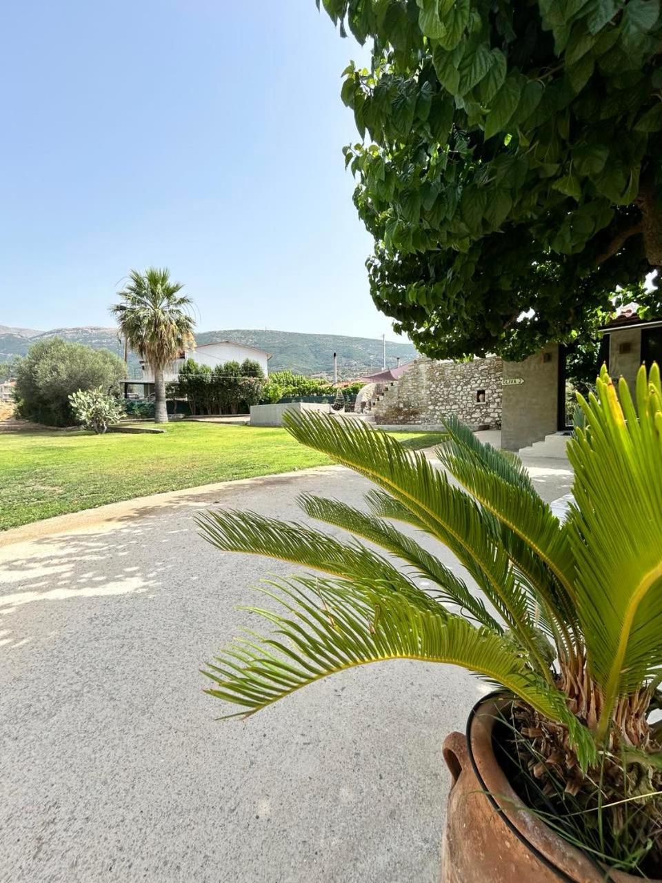 Ktimaoliva1 Holiday home
