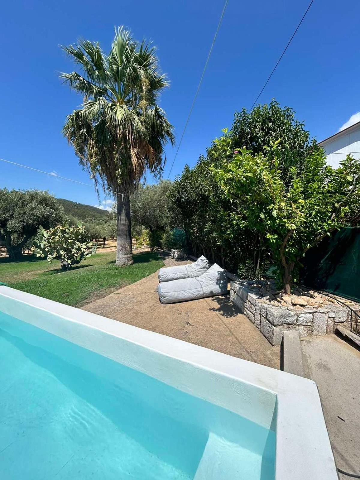 Holiday home Ktimaoliva1